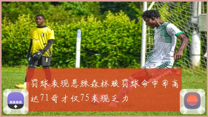罚球表现悬殊森林狼罚球命中率高达71奇才仅75表现乏力