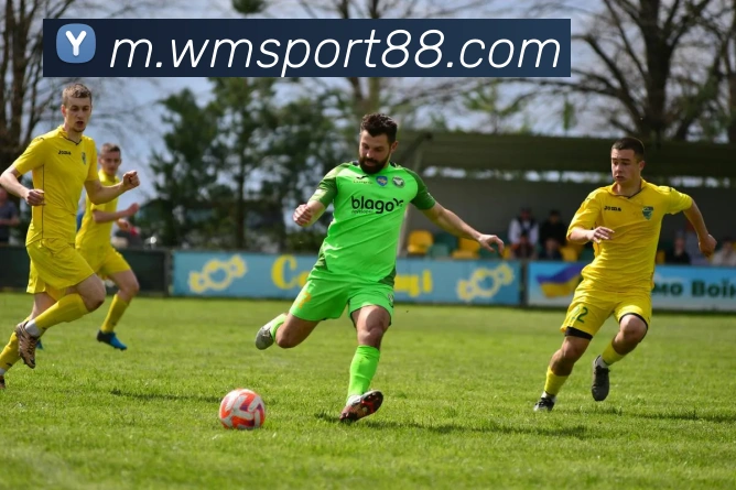 完美体育APP 封面图